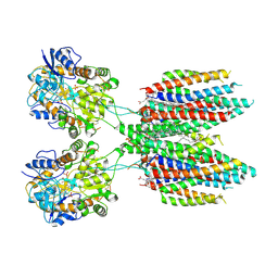 BU of 6ucb by Molmil