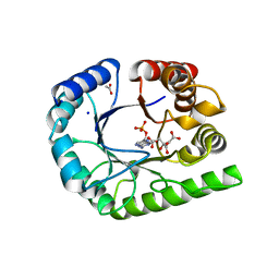 BU of 6ucz by Molmil