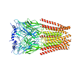 BU of 6ud3 by Molmil