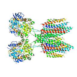 BU of 6ud4 by Molmil