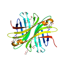 BU of 6ud6 by Molmil