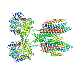 BU of 6ud8 by Molmil