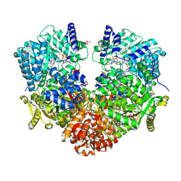 BU of 6ufp by Molmil