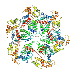 6ugf - Katanin hexamer in the ring conformation with resolved