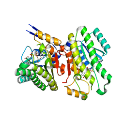 BU of 6uh2 by Molmil