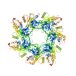 BU of 6uji by Molmil