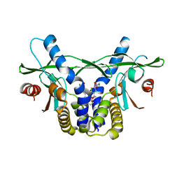 BU of 6ukv by Molmil