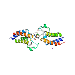 BU of 6ulv by Molmil