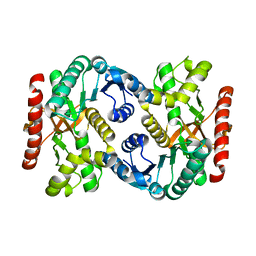 BU of 6um4 by Molmil