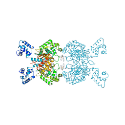 BU of 6umd by Molmil