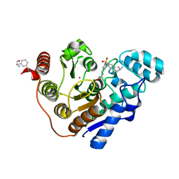 BU of 6uob by Molmil