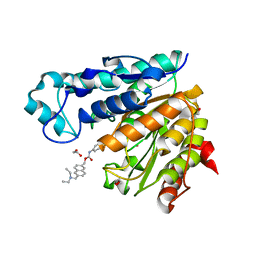 BU of 6uoc by Molmil