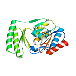 BU of 6upb by Molmil