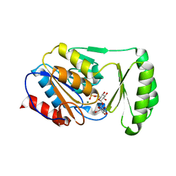 BU of 6upc by Molmil