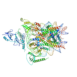 BU of 6upl by Molmil