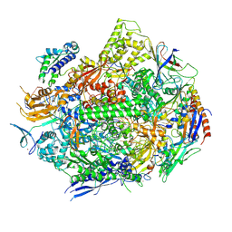 BU of 6uq1 by Molmil