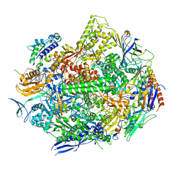 BU of 6uq2 by Molmil