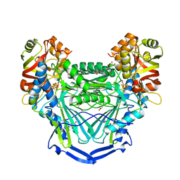 BU of 6uq8 by Molmil