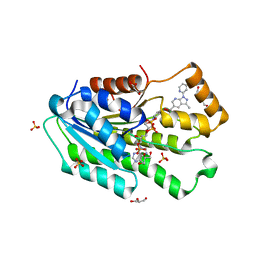 BU of 6usn by Molmil