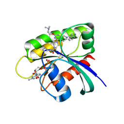 BU of 6usx by Molmil