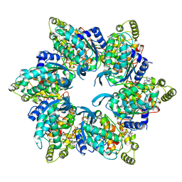 BU of 6ut4 by Molmil