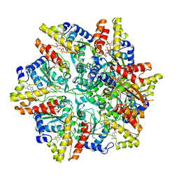 BU of 6ut6 by Molmil