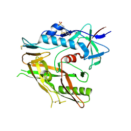 BU of 6utb by Molmil