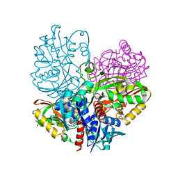 BU of 6utm by Molmil