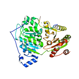 BU of 6uv1 by Molmil