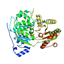 BU of 6uv3 by Molmil