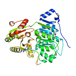 BU of 6uv4 by Molmil