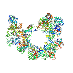 BU of 6uvn by Molmil