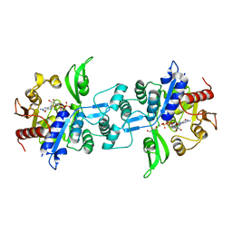 BU of 6uw3 by Molmil