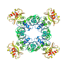 BU of 6ux4 by Molmil