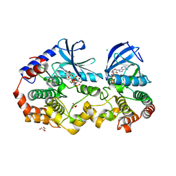 AU of 6v2v by Molmil