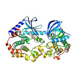 AU of 6v2y by Molmil