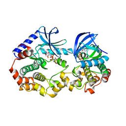 AU of 6v30 by Molmil