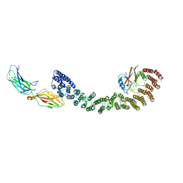 BU of 6vac by Molmil