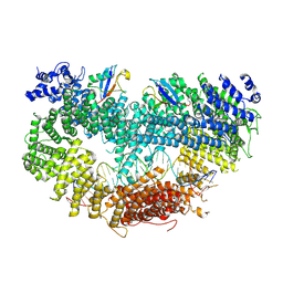 BU of 6vae by Molmil