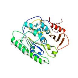 BU of 6vat by Molmil