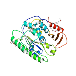 BU of 6vat by Molmil