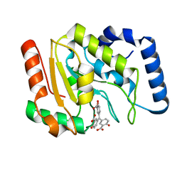 BU of 6vba by Molmil