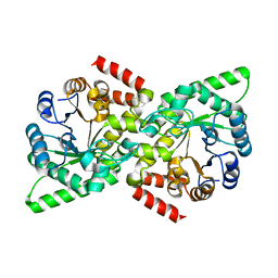 BU of 6vbj by Molmil