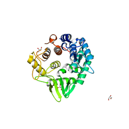 BU of 6vc5 by Molmil