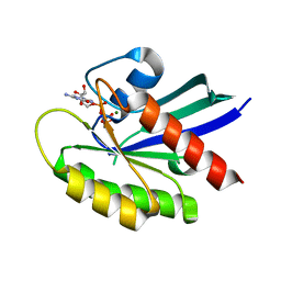 BU of 6vc8 by Molmil