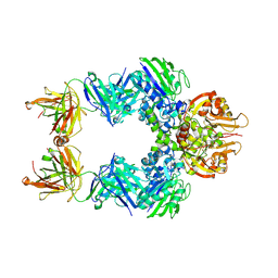 BU of 6vca by Molmil