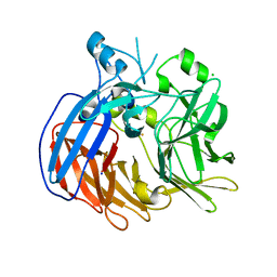 BU of 6vcf by Molmil