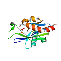 BU of 6vco by Molmil