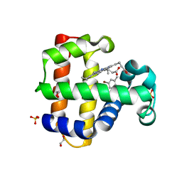 BU of 6vd4 by Molmil