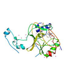 BU of 6vdb by Molmil